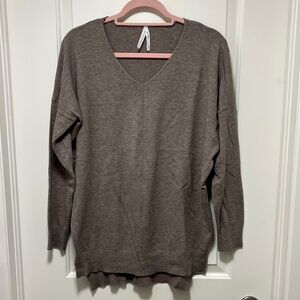 Dreamers V-Neck Sweater in Brown